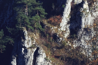 wystawa Ojców